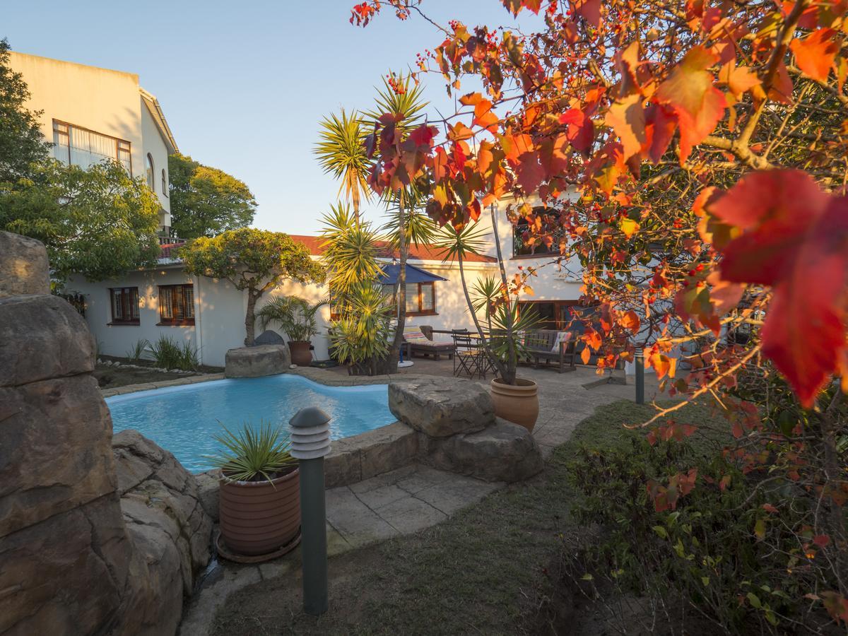 קניסנה Blue Oyster Bed And Breakfast מראה חיצוני תמונה